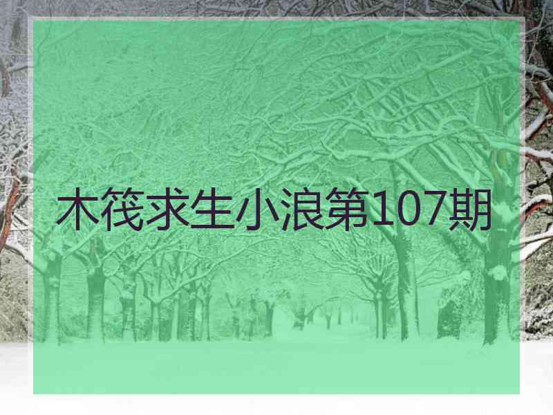 木筏求生小浪第107期