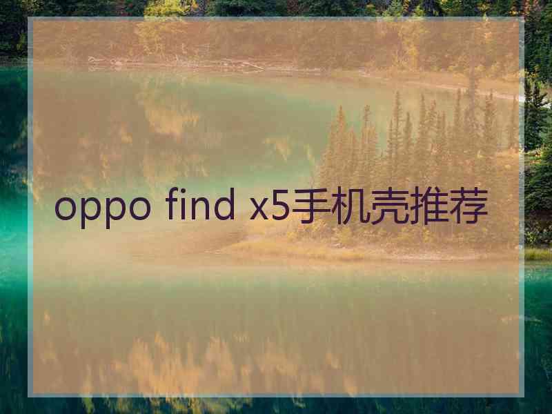 oppo find x5手机壳推荐