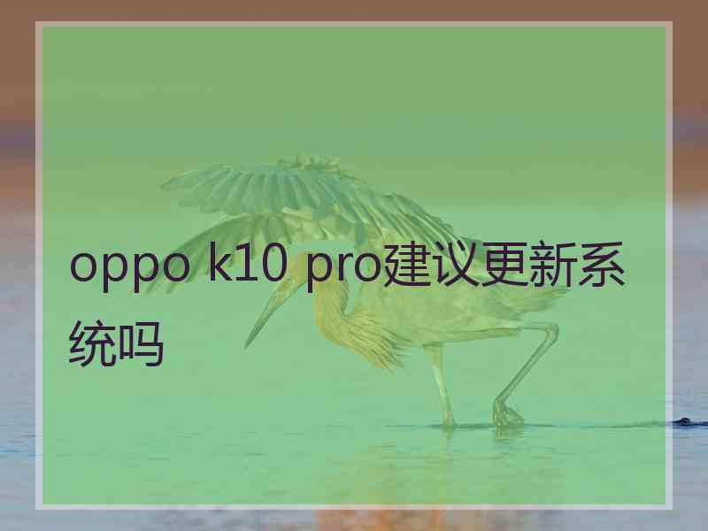 oppo k10 pro建议更新系统吗