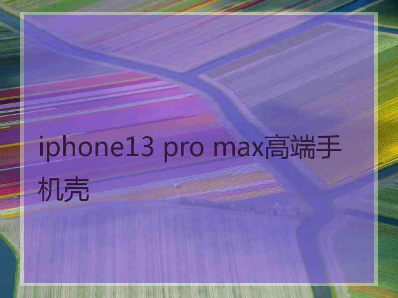 iphone13 pro max高端手机壳