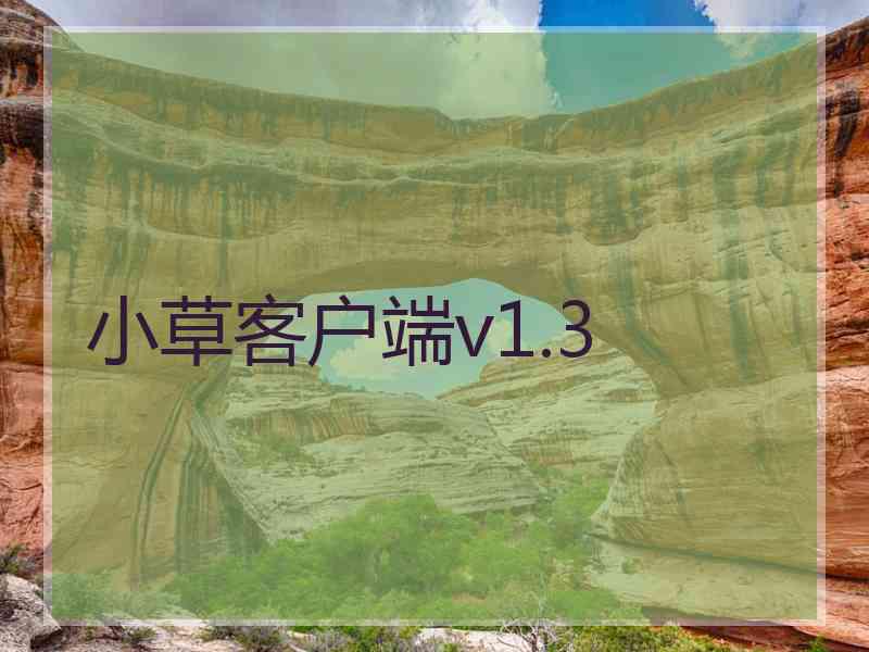 小草客户端v1.3