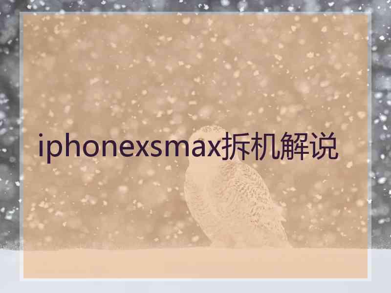 iphonexsmax拆机解说