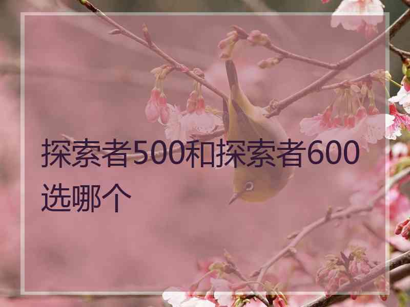 探索者500和探索者600选哪个