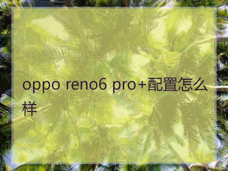 oppo reno6 pro+配置怎么样