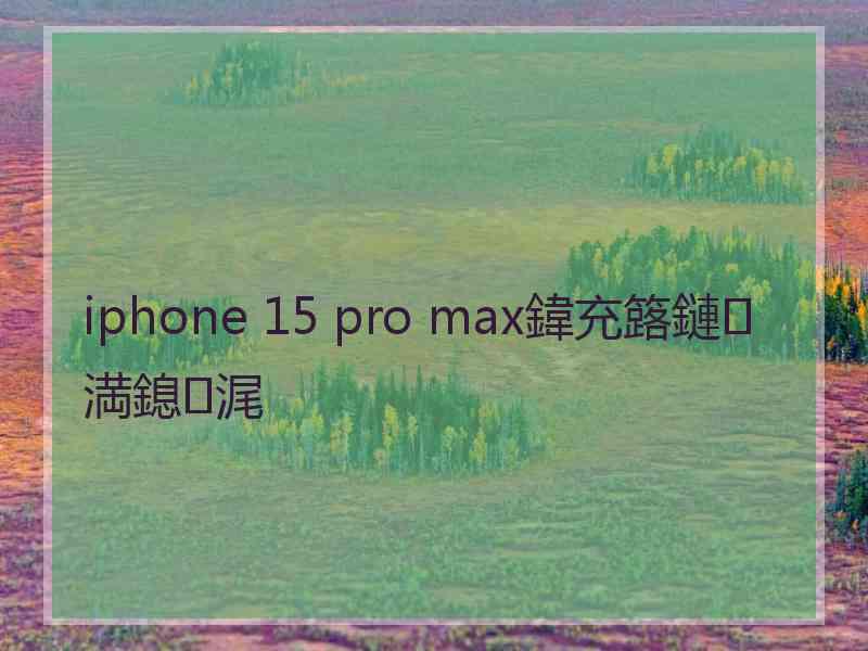 iphone 15 pro max鍏充簬鏈満鎴浘