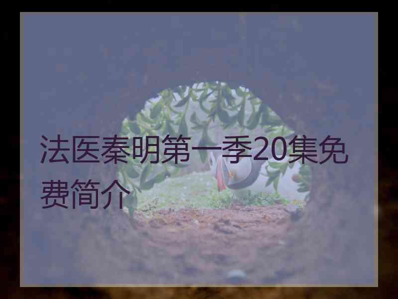 法医秦明第一季20集免费简介