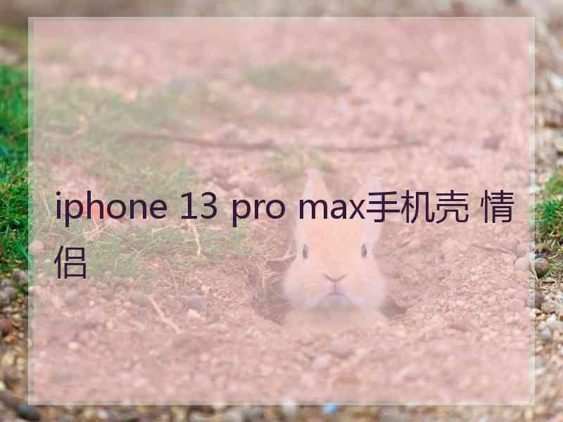 iphone 13 pro max手机壳 情侣