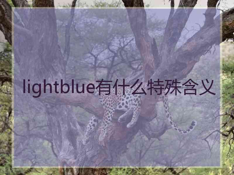 lightblue有什么特殊含义