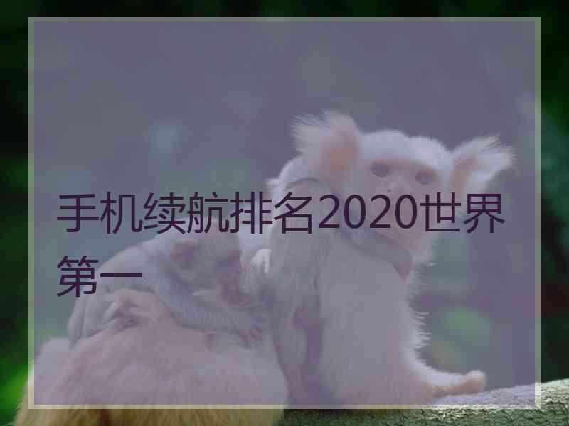 手机续航排名2020世界第一