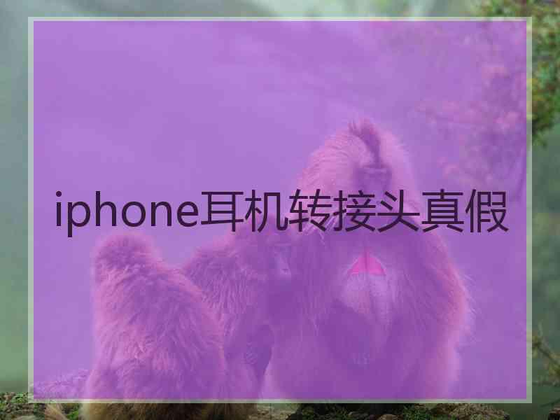 iphone耳机转接头真假