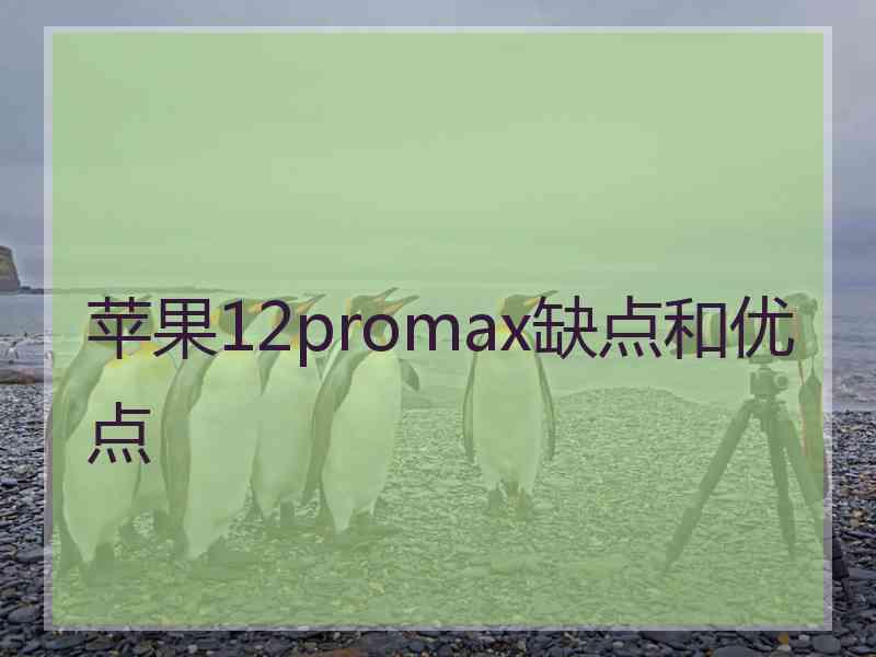 苹果12promax缺点和优点