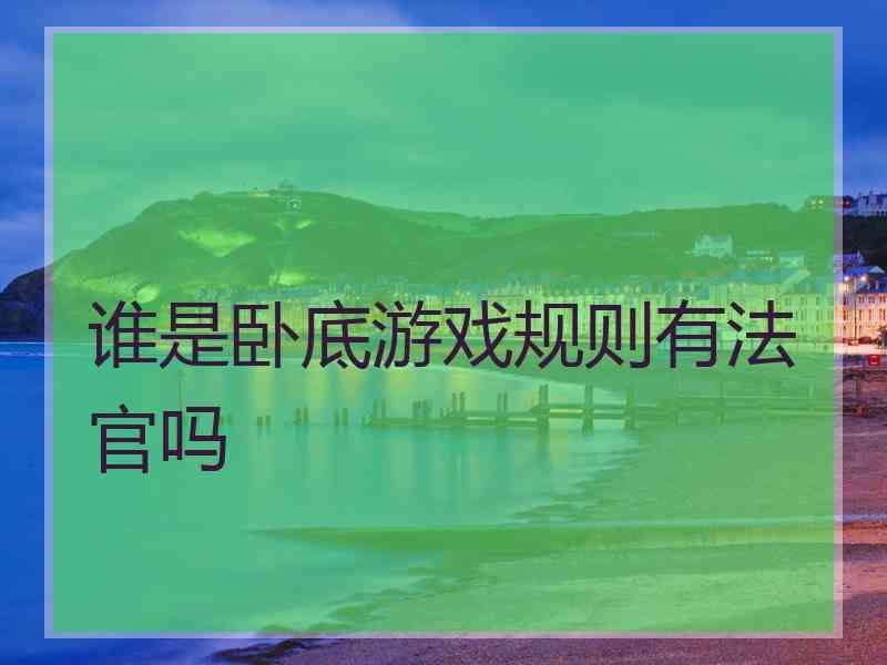 谁是卧底游戏规则有法官吗