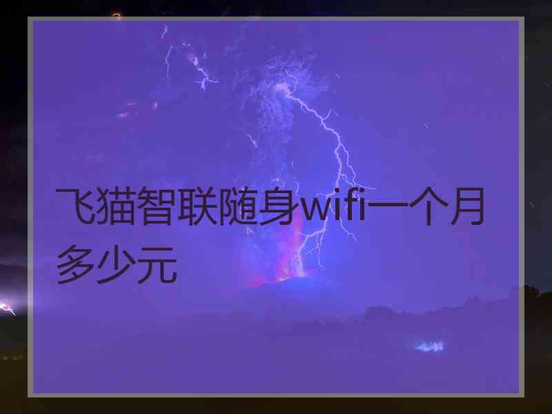 飞猫智联随身wifi一个月多少元