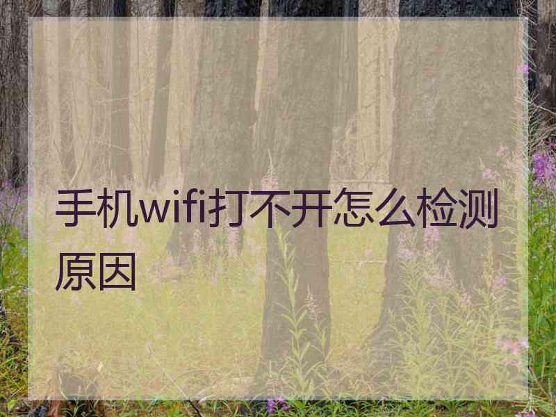 手机wifi打不开怎么检测原因