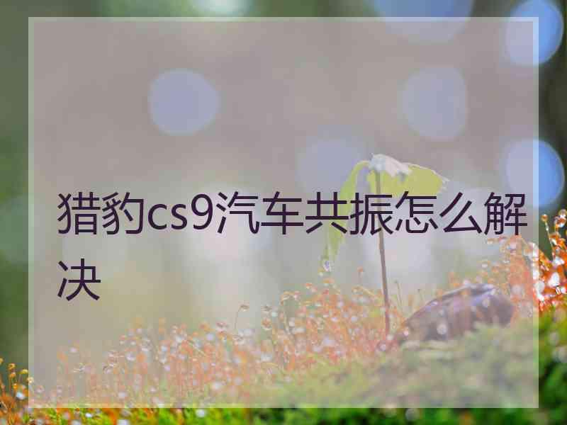 猎豹cs9汽车共振怎么解决