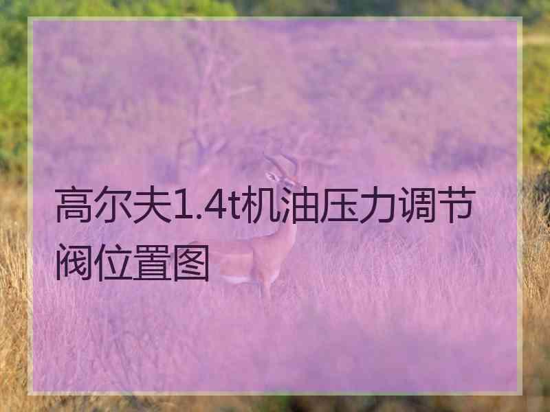 高尔夫1.4t机油压力调节阀位置图