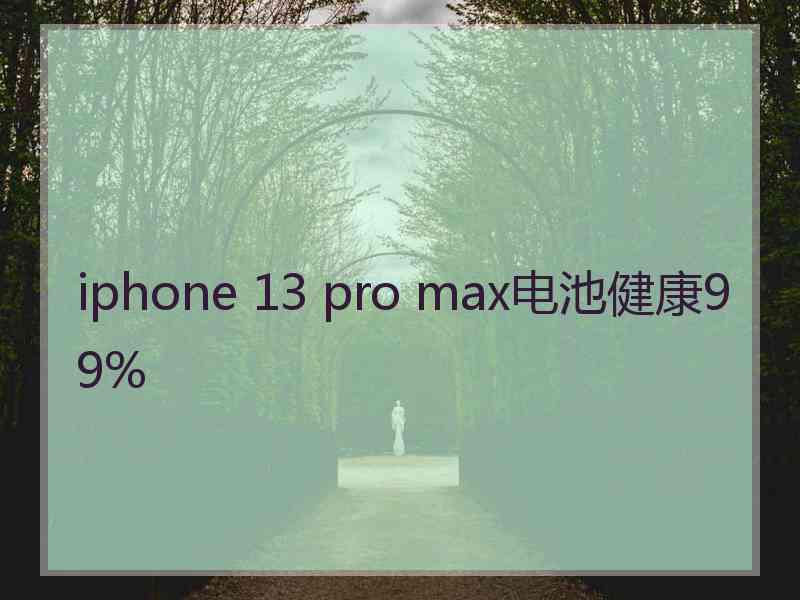 iphone 13 pro max电池健康99%