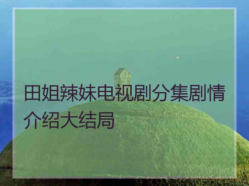 田姐辣妹电视剧分集剧情介绍大结局