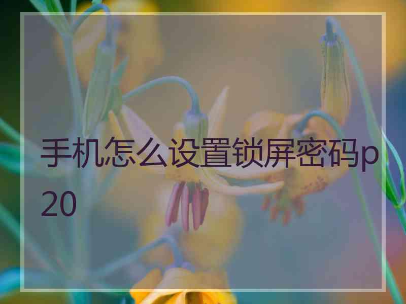 手机怎么设置锁屏密码p20