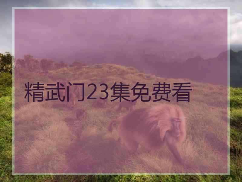 精武门23集免费看