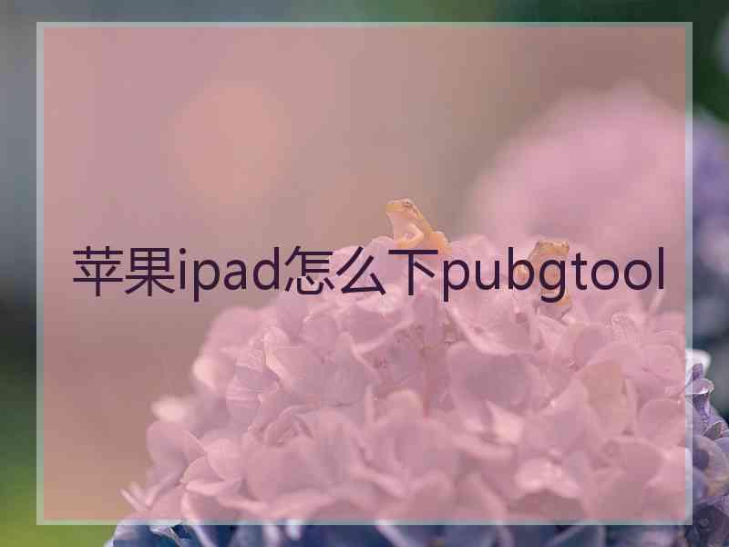 苹果ipad怎么下pubgtool