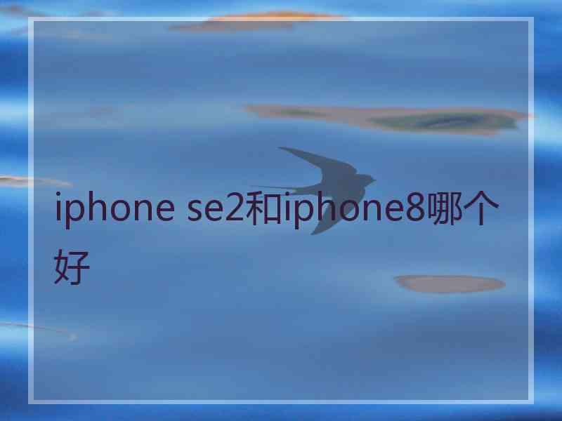 iphone se2和iphone8哪个好