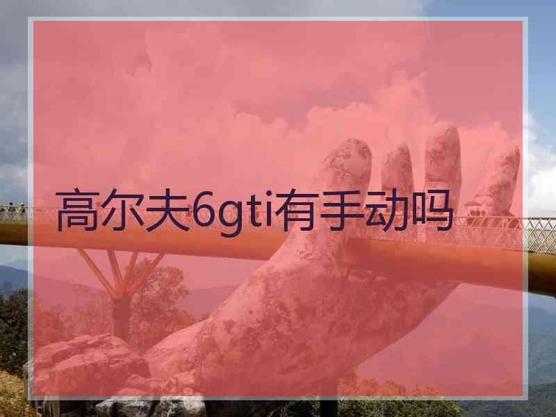 高尔夫6gti有手动吗