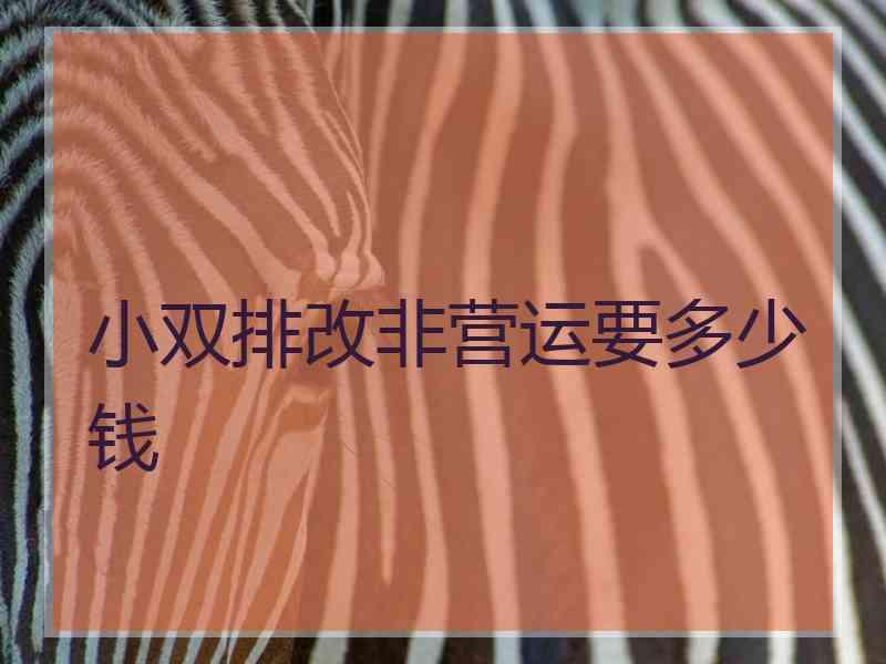 小双排改非营运要多少钱