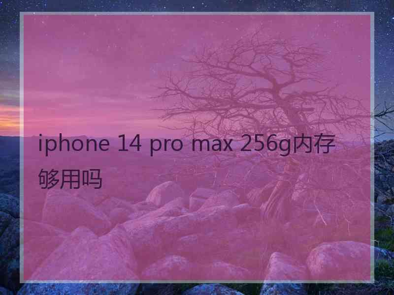 iphone 14 pro max 256g内存够用吗