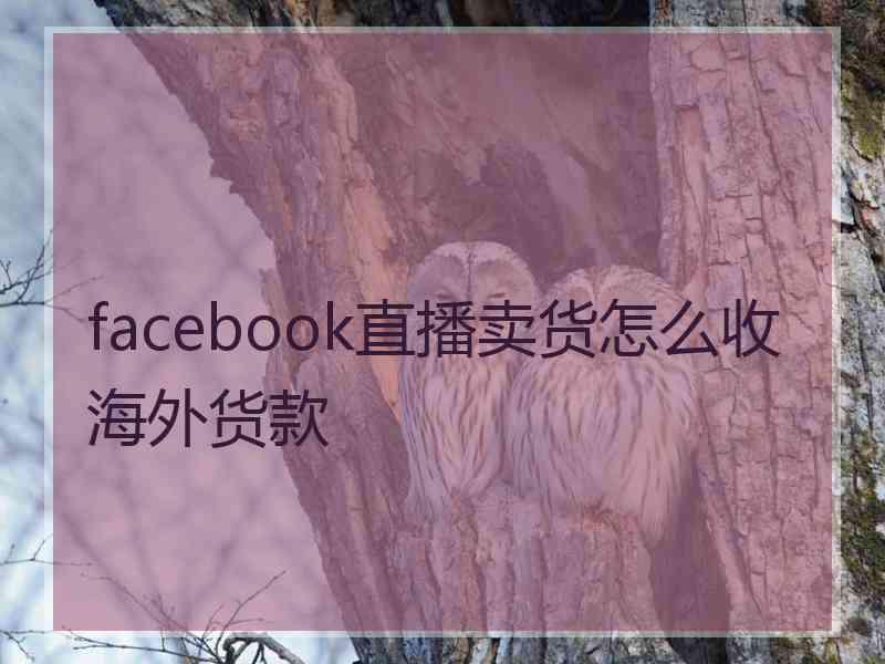 facebook直播卖货怎么收海外货款