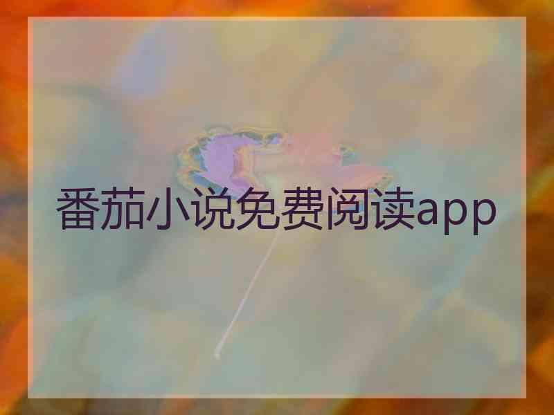 番茄小说免费阅读app