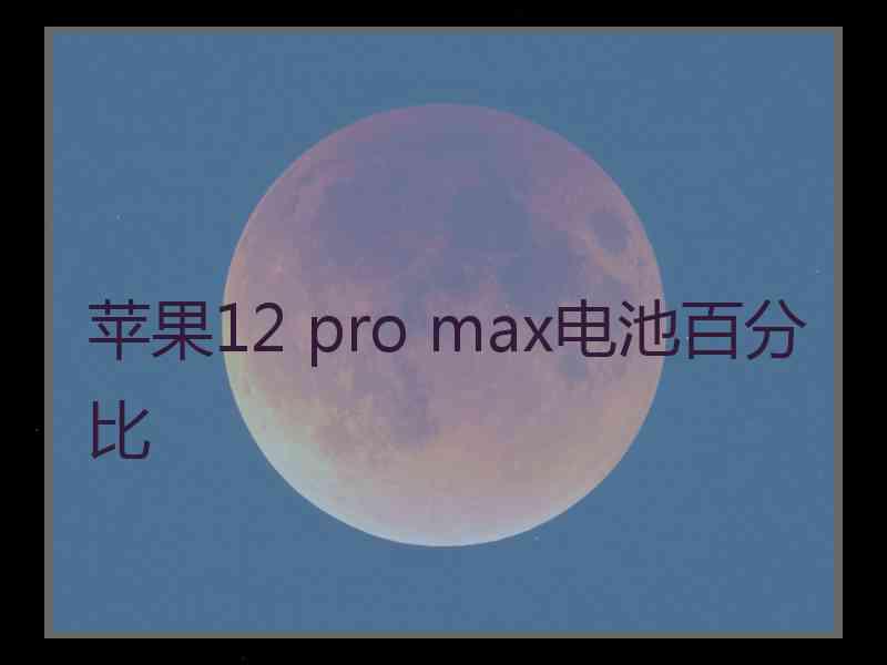 苹果12 pro max电池百分比