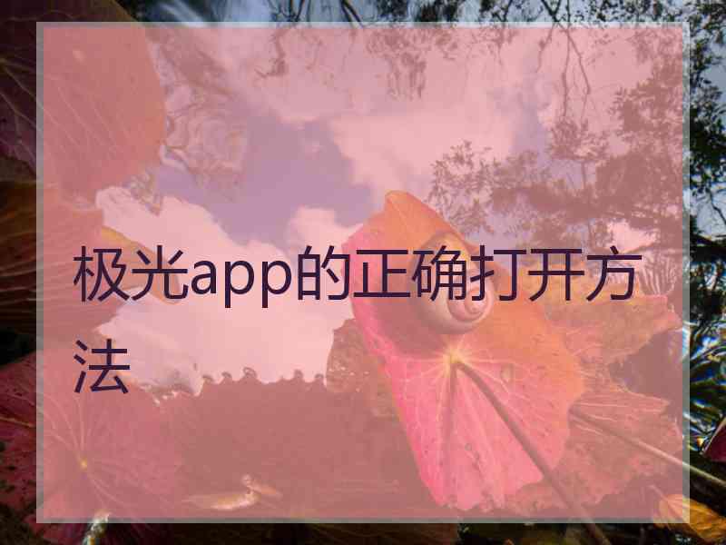 极光app的正确打开方法