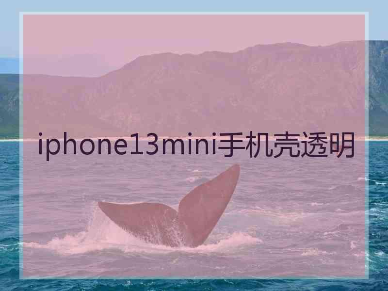 iphone13mini手机壳透明