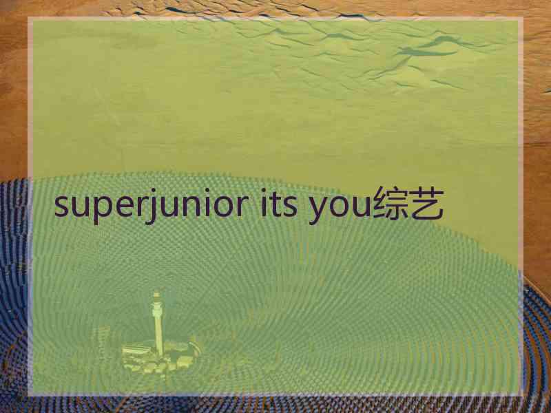 superjunior its you综艺