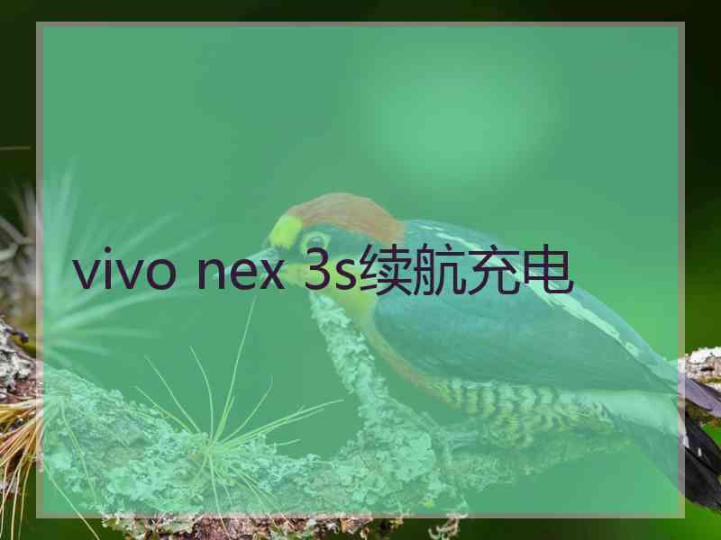 vivo nex 3s续航充电