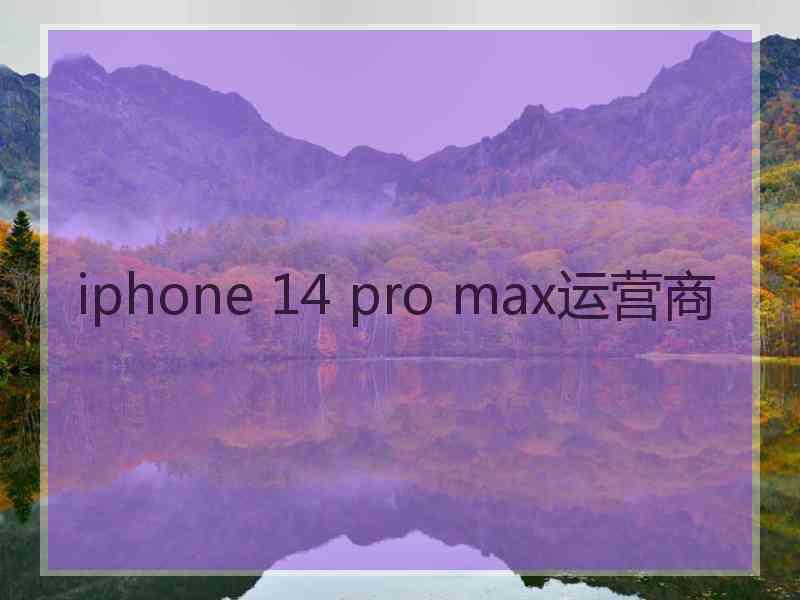 iphone 14 pro max运营商