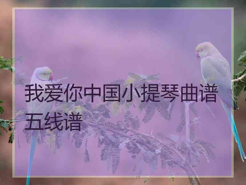 我爱你中国小提琴曲谱五线谱