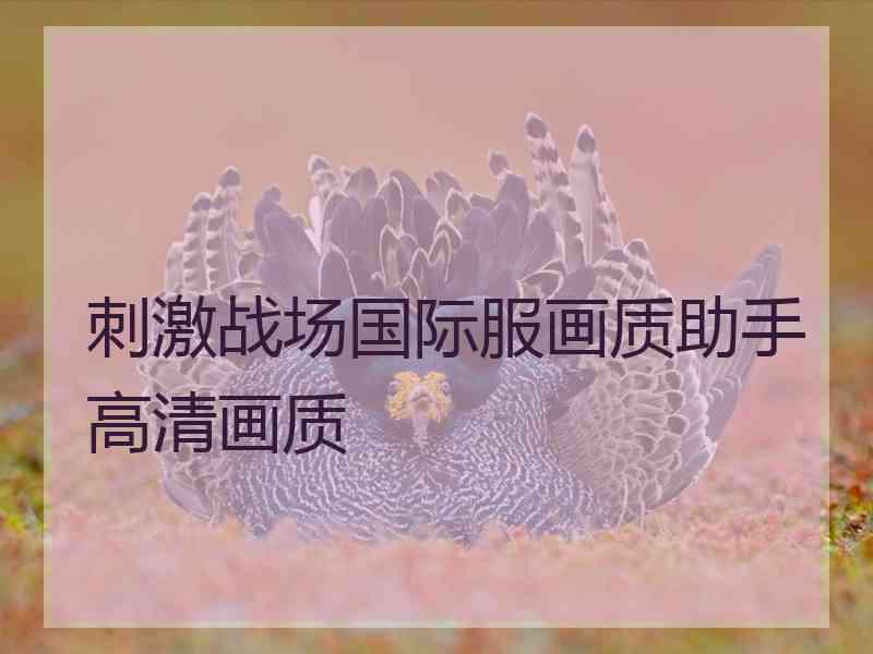 刺激战场国际服画质助手高清画质