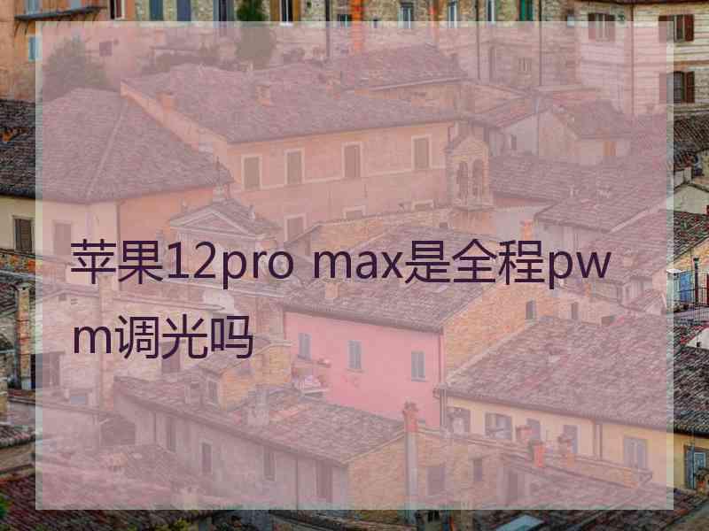 苹果12pro max是全程pwm调光吗