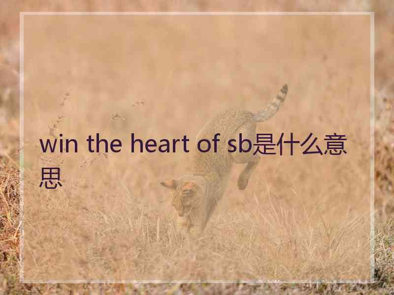 win the heart of sb是什么意思