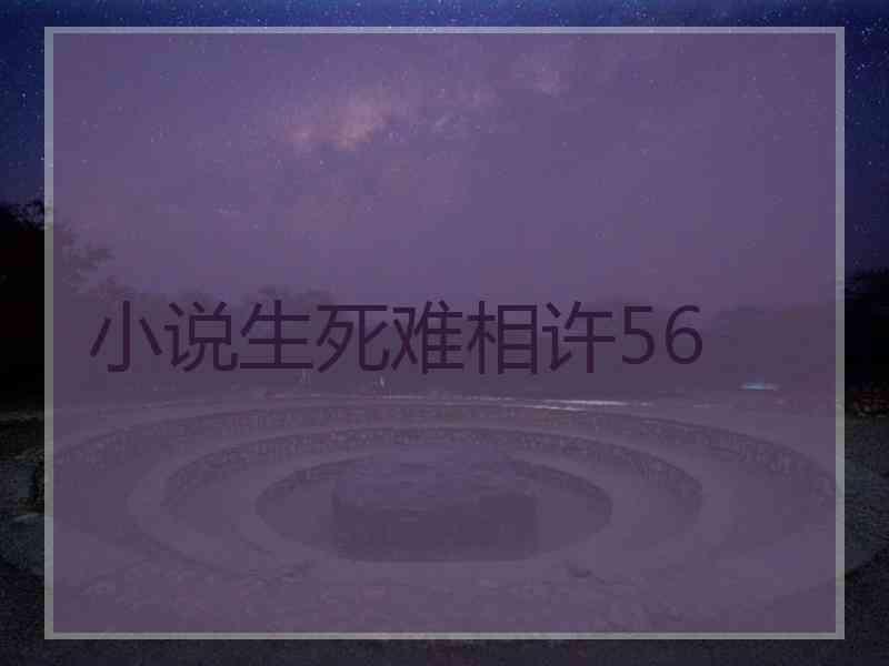 小说生死难相许56