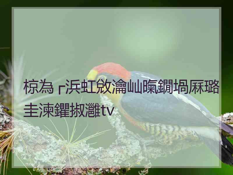 椋為┌浜虹敓瀹屾暣鐗堝厤璐圭湅鑺掓灉tv