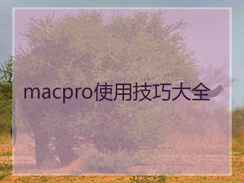 macpro使用技巧大全