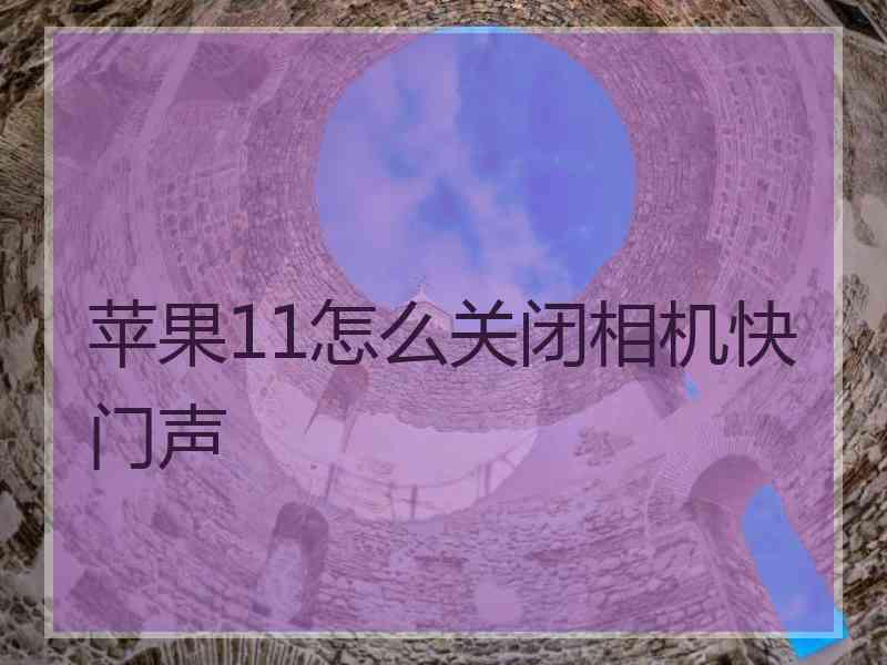 苹果11怎么关闭相机快门声