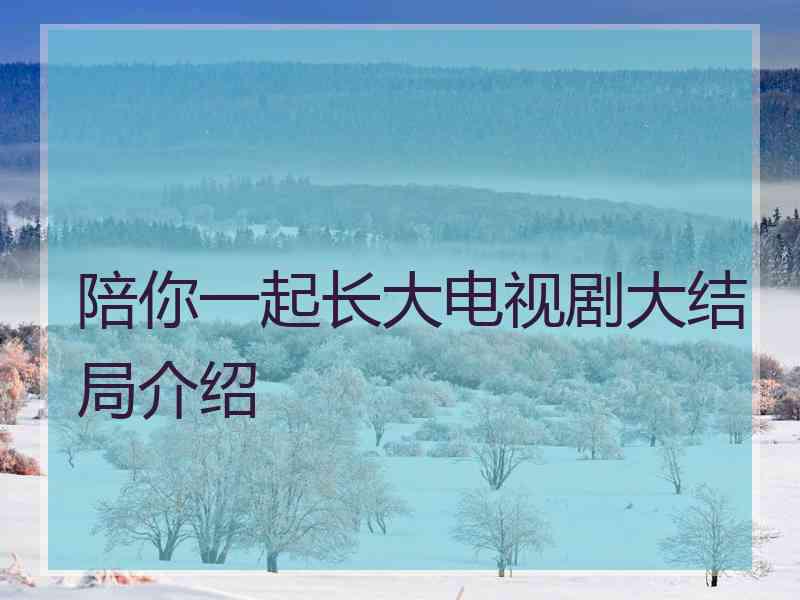 陪你一起长大电视剧大结局介绍