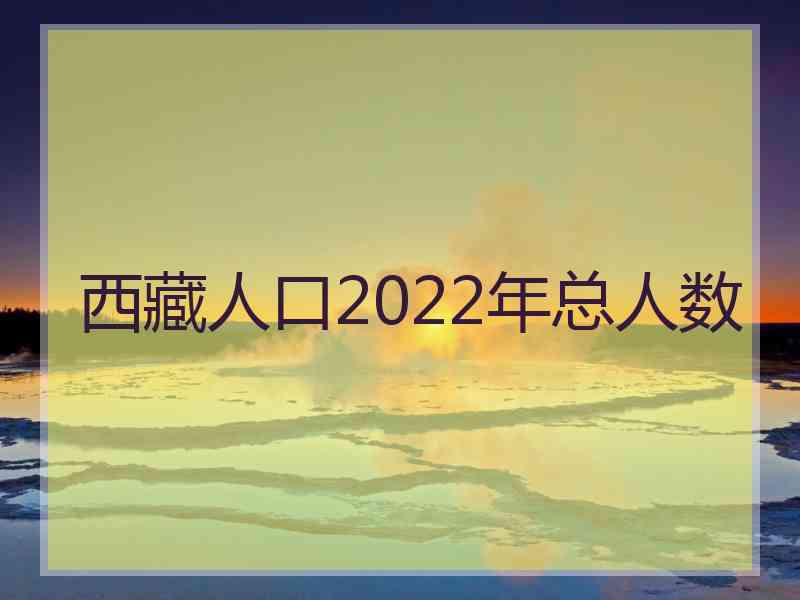 西藏人口2022年总人数