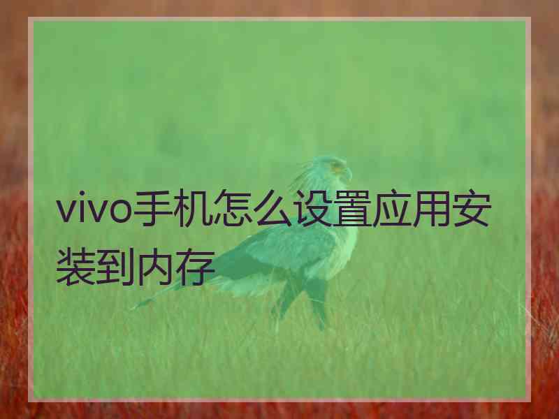 vivo手机怎么设置应用安装到内存