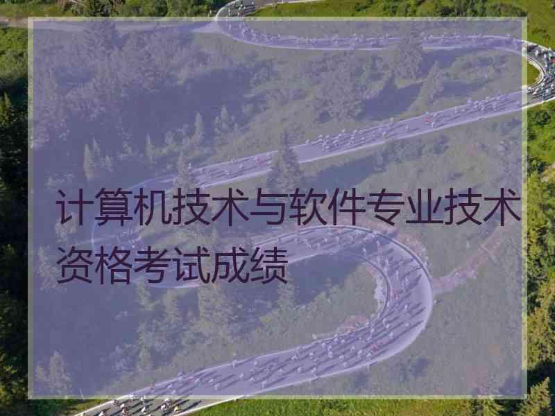 计算机技术与软件专业技术资格考试成绩