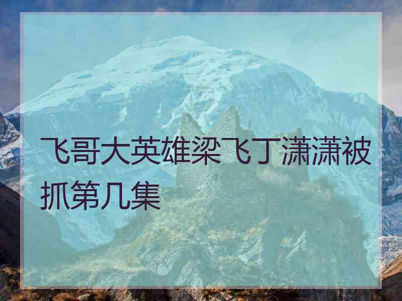 飞哥大英雄梁飞丁潇潇被抓第几集